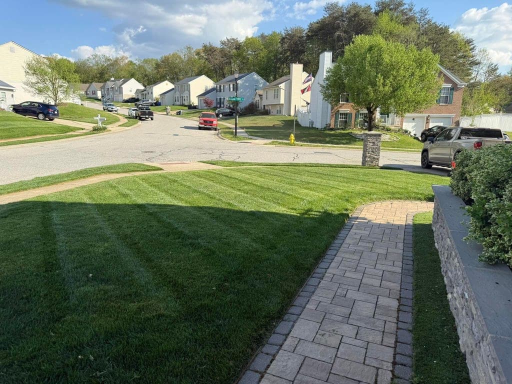 Freshly mowed striped lawn on a residential street corner